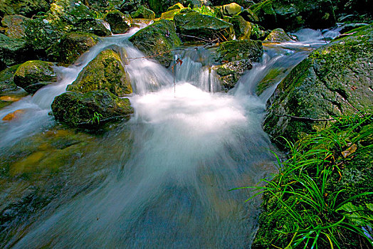 山泉,泉水,小溪,石头,山