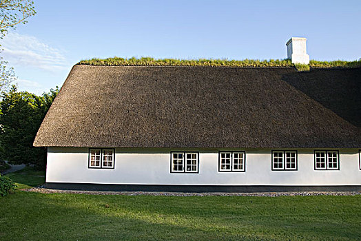 茅草屋顶