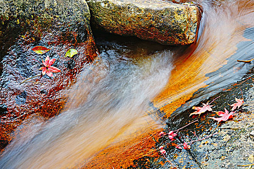 瀑布,红叶,山泉,流水