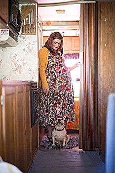 怀孕,中年,女人,站立,入口,俯视,法国牛头犬