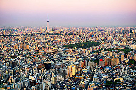 东京,城市,天际线,屋顶,风景,日落,日本