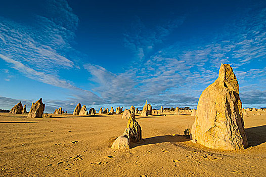 尖峰石阵,石灰石,南邦国家公园,西澳大利亚州