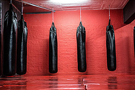 吊袋,红色,拳击,区域,健身房