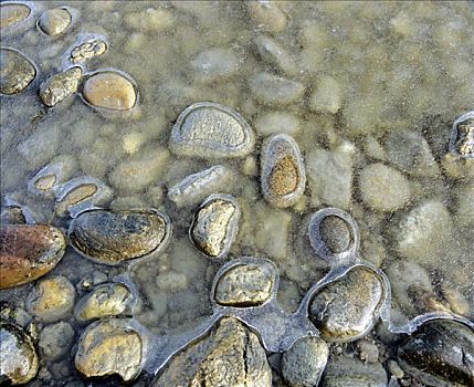 鹅卵石,湖,岸边,冰,层次