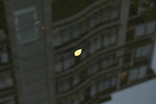 雨后小院