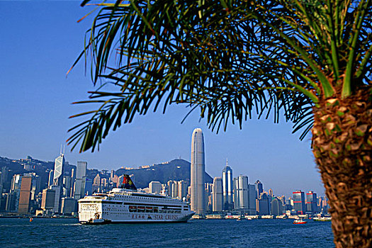 中国,香港,游轮,船,城市天际线