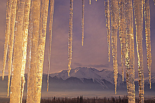 冰柱,山谷,景色,后面,不列颠哥伦比亚省,加拿大