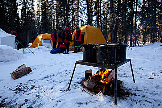 罐,营火,篝火,冬天,帐篷,后面,育空地区,加拿大