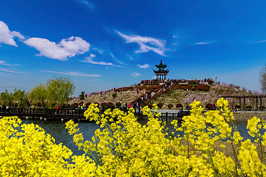 江苏省盐城市龙岗桃花园乡村田园自然景观