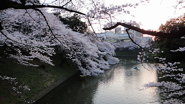 东京千鸟之渊