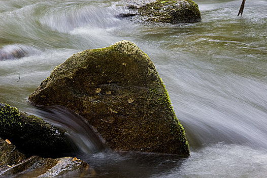河流,流动,石头,北卡罗来纳,美国