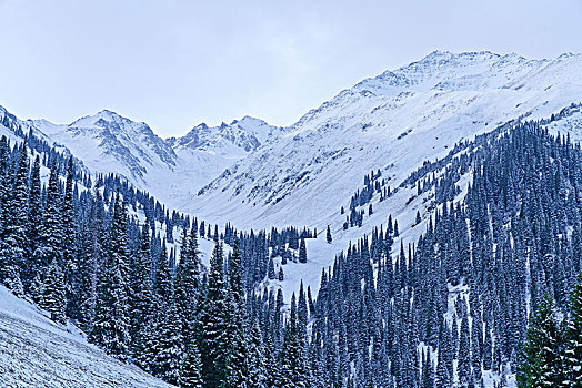 那拉提牧场雪景