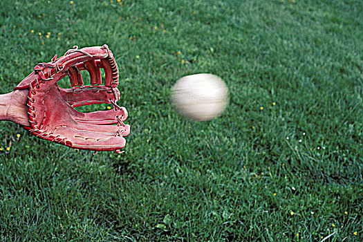 棒球手套,抓住,模糊,棒球,不列颠哥伦比亚省,加拿大