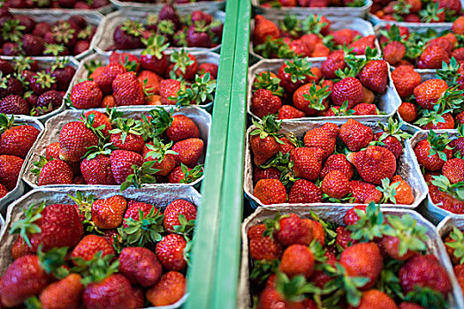新鲜,草莓,扁篮,巴登符腾堡,德国,欧洲