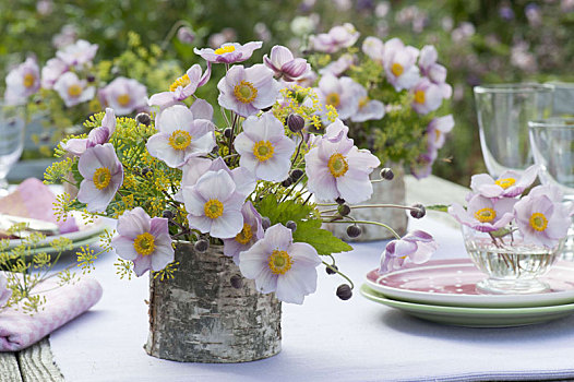 桌饰,秋天,银莲花,茴香