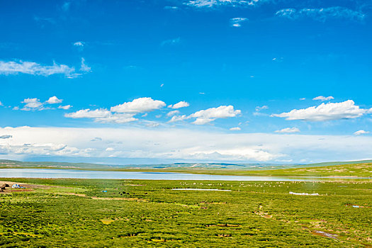 三江源自然保护区风光,海拔最高的天然湿地,中国西藏