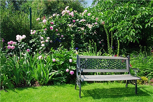 花园,长椅