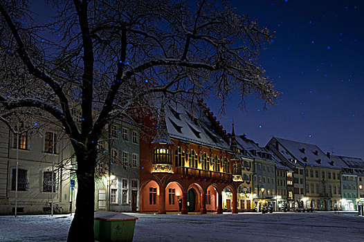 冬天,布赖施高,巴登符腾堡,德国,欧洲