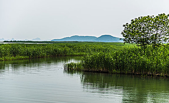 太湖风景