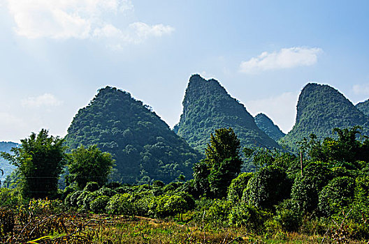 桂林田园风光