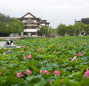 北戴河