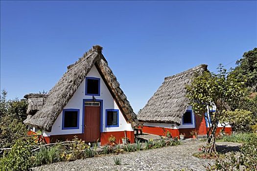 稻草,遮盖,房子,马德拉岛,葡萄牙