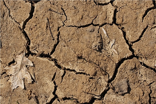干燥,缝隙,土地,干旱,状况