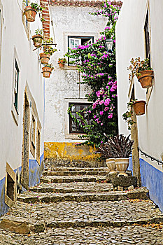 房子,奥比都斯,葡萄牙