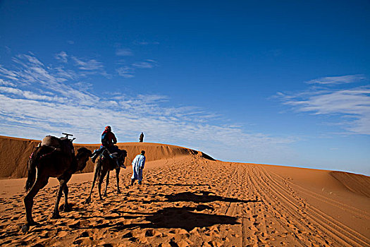 荒漠沙丘,摩洛哥
