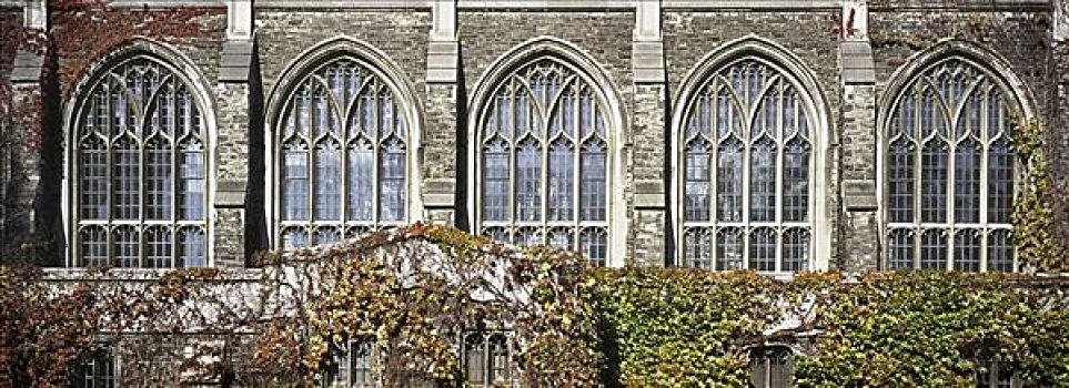 窗户,大学,建筑,多伦多大学,多伦多,安大略省,加拿大