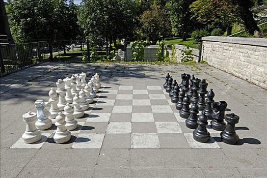 下棋,公园