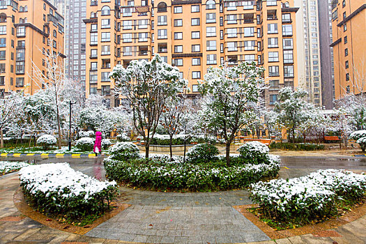 雪中住宅区