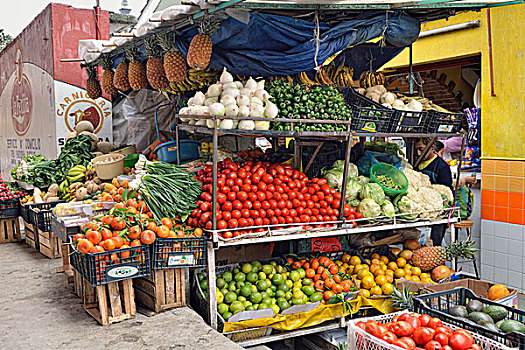 果蔬,货摊,市场,维拉克鲁斯,墨西哥,北美