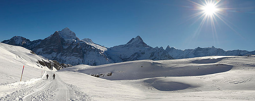 雪,山,靠近,格林德威尔,第一,阿尔卑斯山,瑞士,欧洲
