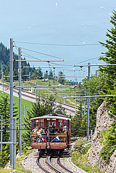 齿轨铁路,靠近,卢塞恩市,琉森湖,瑞士