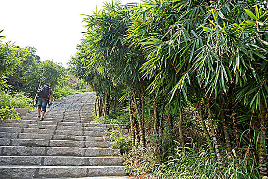 正在登台阶的旅行者