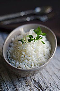 米饭,嫩枝