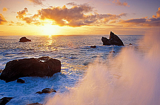 海洋,飞溅,堆积,日落,州立公园,加利福尼亚