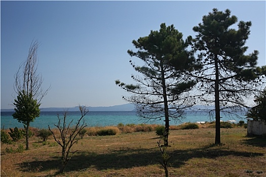 希腊,哈尔基迪基,海岸