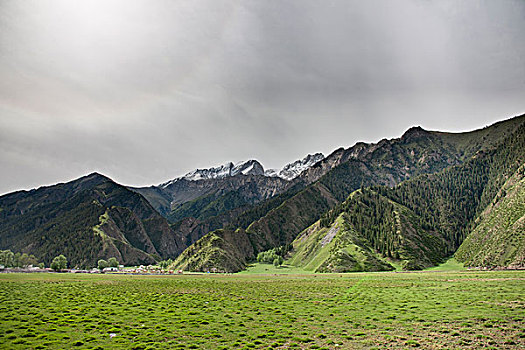 天山里的牧场