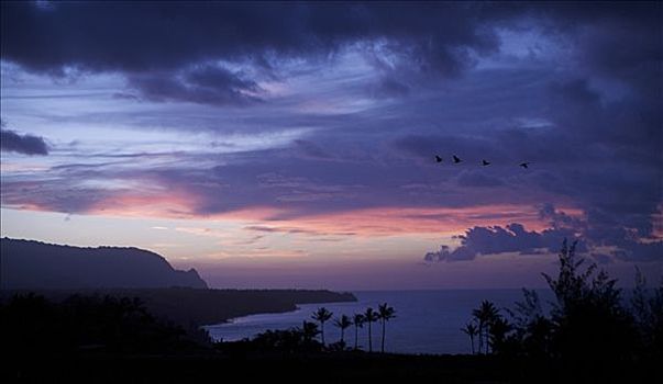 夏威夷,考艾岛,基拉韦厄火山,上方,北岸