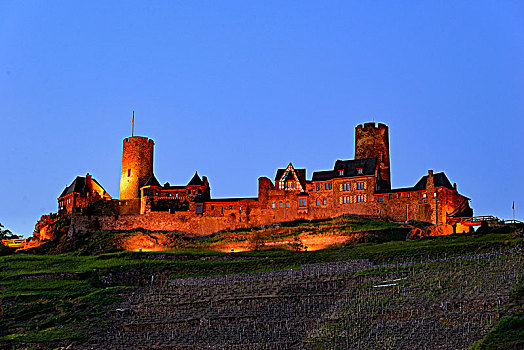 城堡,靠近,摩泽尔,莱茵兰普法尔茨州,德国,欧洲