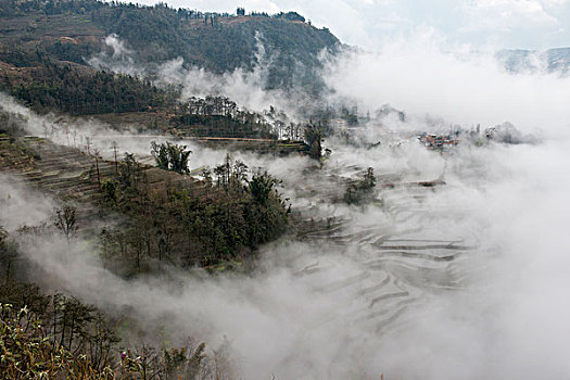 云南元阳梯田,云海,徐学哲摄影,尼康,年,月