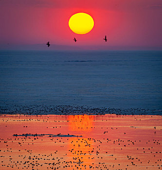 春天鸟类迁徙时夕阳下的兴凯湖
