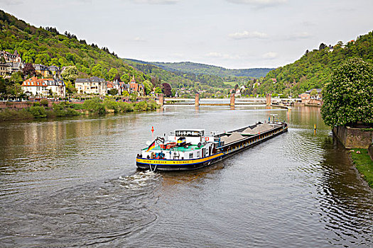 运输,驳船,河,内卡河,海德堡,巴登符腾堡,德国,欧洲
