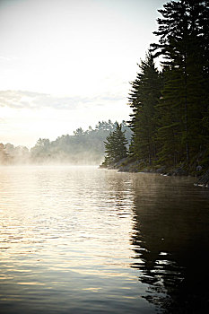 景色,晨雾,湖,围绕,树林,北安大略,加拿大
