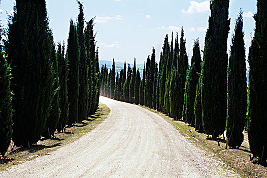 道路,托斯卡纳,意大利