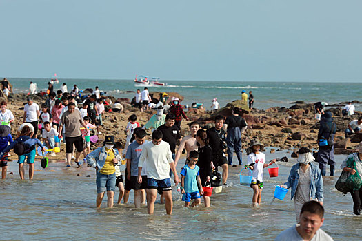 太壮观,万人赶海大军浩浩荡荡登陆太公岛,尽情享受快乐时光