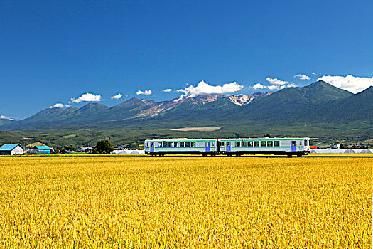 列车,十胜岳山