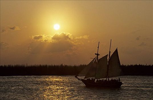 帆船,日落,基韦斯特,佛罗里达,美国